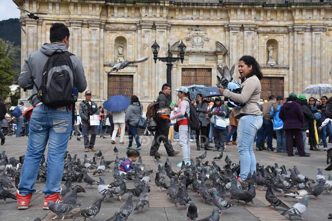 People feeding pigeons — Stock Photo