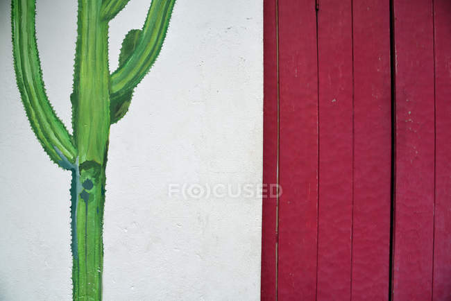 Кактус, нарисованный на белой стене — стоковое фото