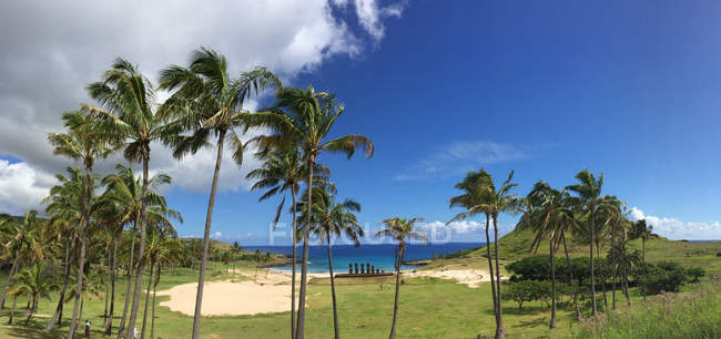 Bord de mer avec palmiers et plage de sable — Photo de stock