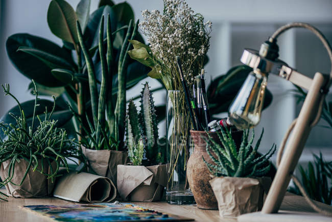 Plantas verdes con suministros de arte en la mesa - foto de stock