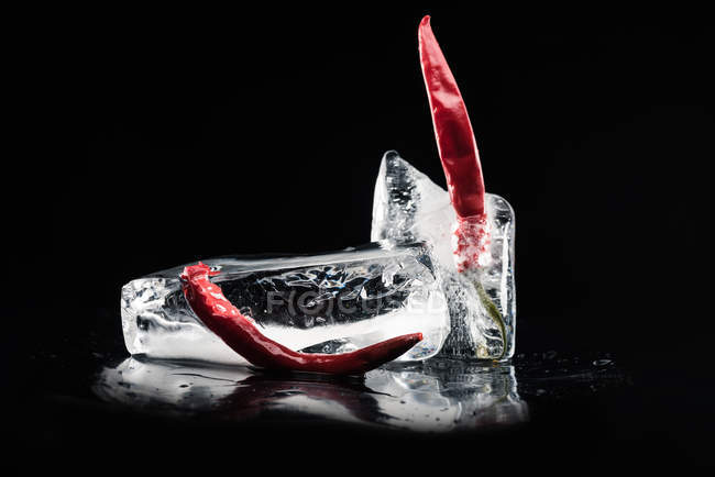 Chili peppers in melting ice — Stock Photo