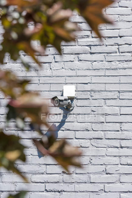 Cámara de seguridad en la pared - foto de stock