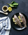 Due pesci trota con erbe e limoni — Foto stock