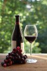 Пляшка, келих вина і винограду — стокове фото