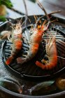 Grilled king prawns and boiled mussels — Stock Photo