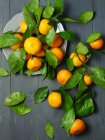 Naranjas frescas con hojas en la mesa - foto de stock