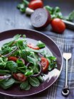Салат зі шпинату, помідорів і червоної цибулі — стокове фото