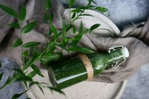 Smoothie em tecido com ramo verde — Fotografia de Stock