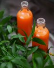 Due bottiglie di succo d'arancia siciliano — Foto stock