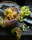 Grapes bunches in metal basket — Stock Photo