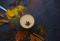 Cup with milk and spices on dark surface — Stock Photo