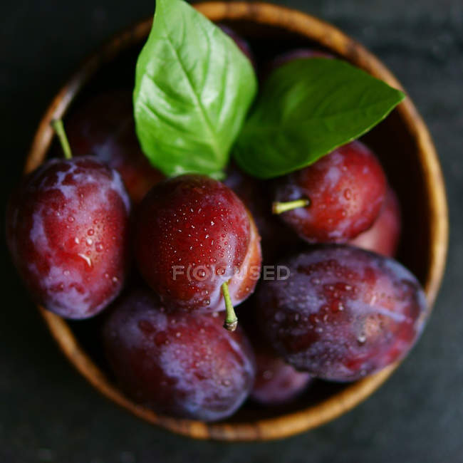 Bowl with fresh and clean plums — Stock Photo
