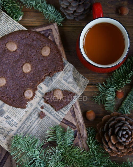 Pastel de chocolate con esponja y avellanas - foto de stock