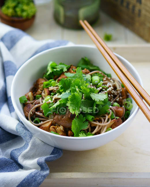 Egg noodles with soy sauce, pork and parsley — Stock Photo