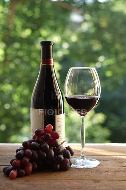 Botella, copa de vino y uvas - foto de stock