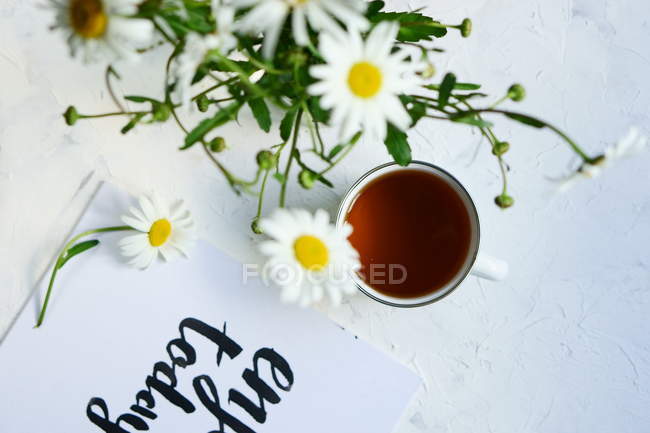 Cup of camomile tea on table — Stock Photo