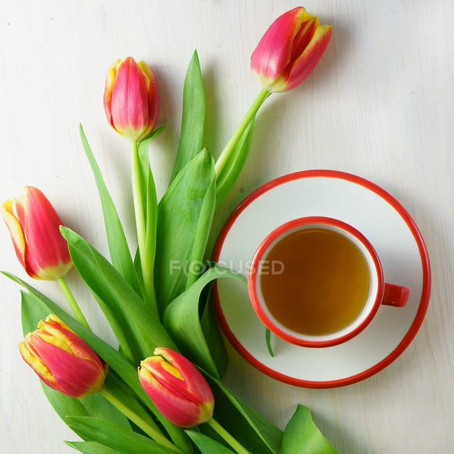 Tasse Tee und Strauß Tulpenblumen — Stockfoto