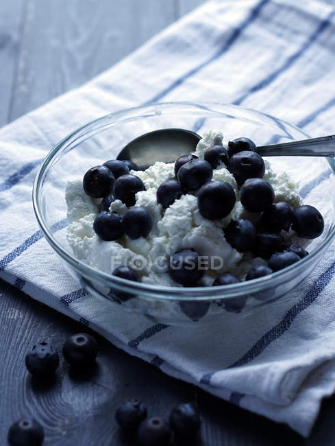 Glass bowl with cottage cheese and blueberries — Stock Photo