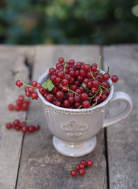 Чашка с красной смородиной — стоковое фото