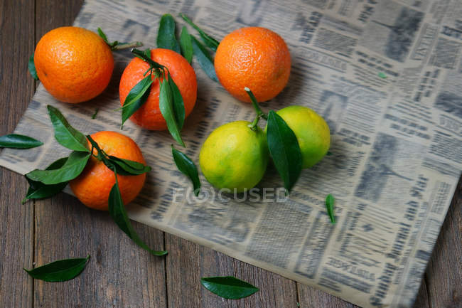 Naranjas y limas frescas - foto de stock