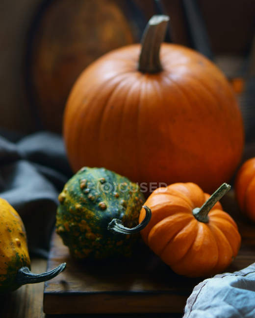 Different pumpkins on wooden table — Stock Photo