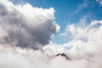 Cima della montagna tra le nuvole — Foto stock