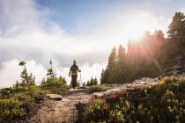 Hiker on Mount Baker — Stock Photo