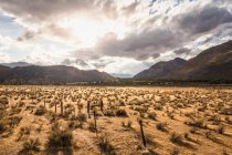 Vista panorámica de las montañas cerca del lago Isabella - foto de stock