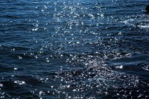 Блакитне море блищить на сонячному світлі — стокове фото