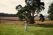 Niño corriendo a través del campo - foto de stock