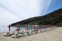 Empty beach with rows of beach umbrellas — Stock Photo