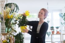 Флорист вибирає квіти в магазині — стокове фото