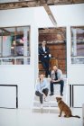 Мужская и женская команда дизайнеров с собакой — стоковое фото