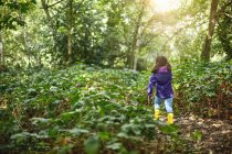 Young girl walking through forest — Stock Photo