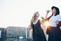 Two young women, on roof top — Stock Photo