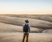 Man looking out at rolling prairie hills — Stock Photo