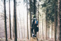 Escursionista in piedi sul tronco d'albero della foresta — Foto stock