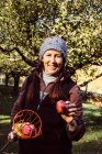 Donna che tiene raccoglitore di frutta — Foto stock