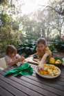 Dos hermanas jóvenes preparando limones para la limonada en la mesa del jardín - foto de stock