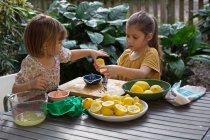 Dos hermanas jóvenes preparando jugo de limón para limonada en la mesa del jardín - foto de stock