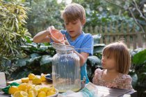 Niño y hermana joven vertiendo jugo de limón para limonada en la mesa de jardín - foto de stock