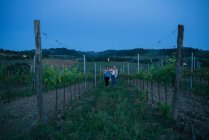 Туристы в винограднике, Тоскана, Италия — стоковое фото