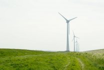Ряд вітрових турбін у полі — стокове фото