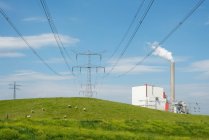 Field landscape with electric pylon — Stock Photo