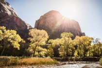 Scenic view of Zion National Park — Stock Photo