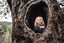 Молодий хлопчик, сидить у порожнині дерева — стокове фото