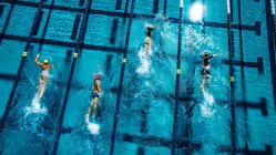 Vista aérea de los nadadores en la piscina - foto de stock