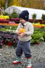 Garçon portant citrouille dans le centre de jardin — Photo de stock