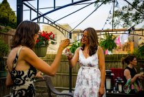 Жінки в саду вечірка — стокове фото