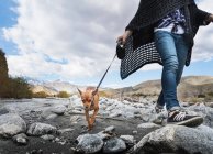 Oman chien de promenade — Photo de stock